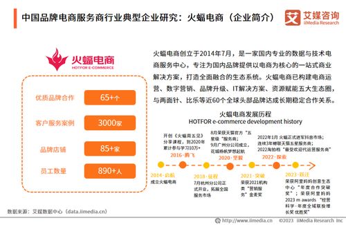 艾媒咨詢 2023年中國(guó)品牌電商服務(wù)商行業(yè)研究報(bào)告